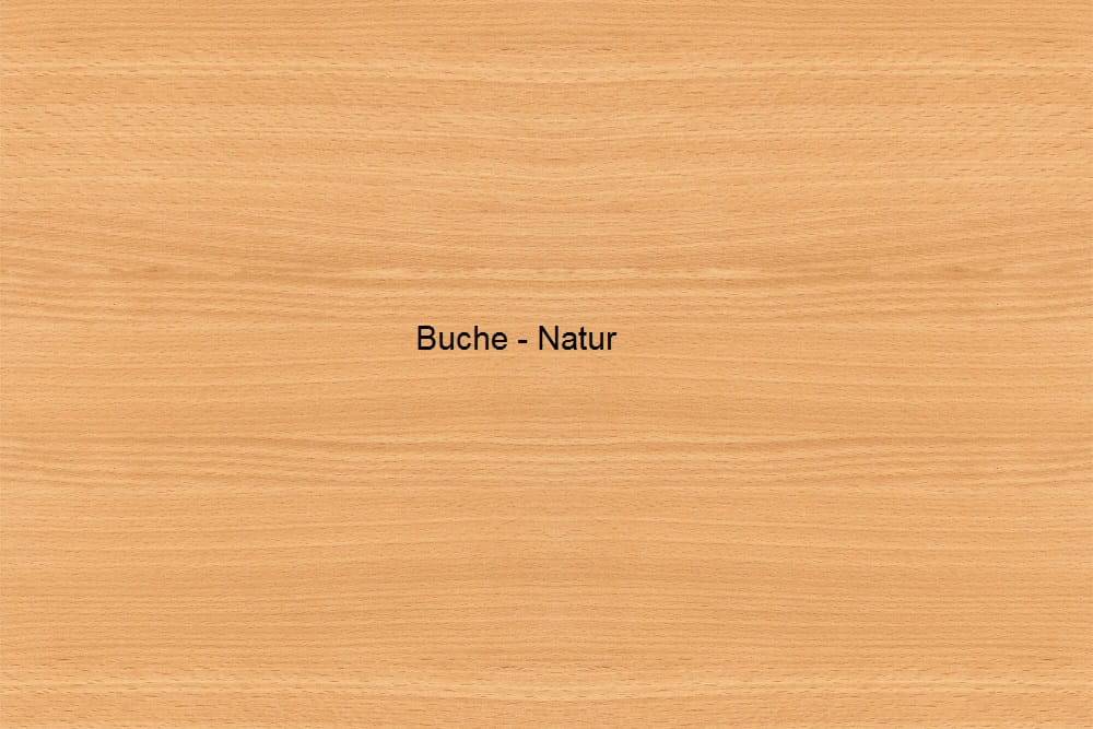 Burmeier Pflegebett Regia Easy-Switch