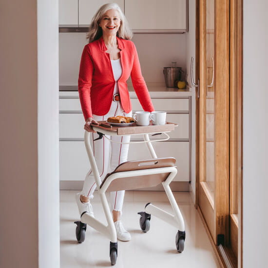 SALJOL Wohnraumrollator ✔️