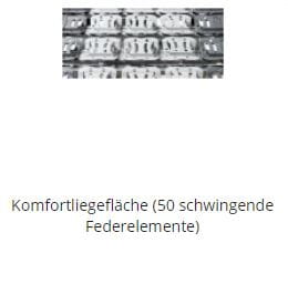 Dekor-Easy-Switch-Komfortliegefl-che-90x200 Pflegebett Burmeier Regia Easy Switch 90 x 200 cm mit teilbaren Seitengittern Vorführware